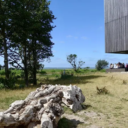 Quartier Hohe Geest 19